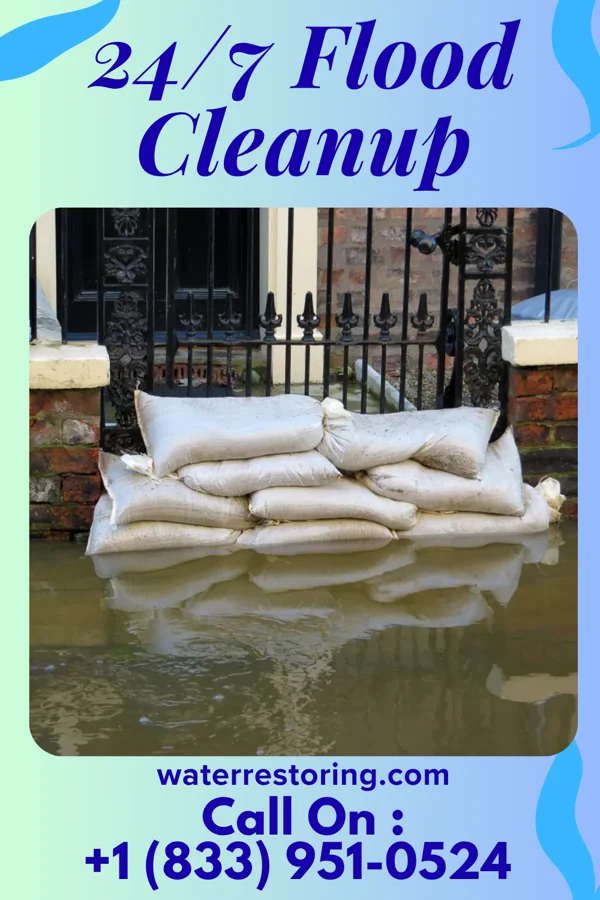 24/7 Flood Cleanup in La Plata, MD