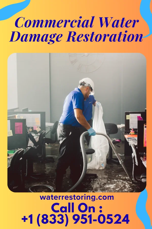 Commercial Water Damage Restoration in La Plata, MD