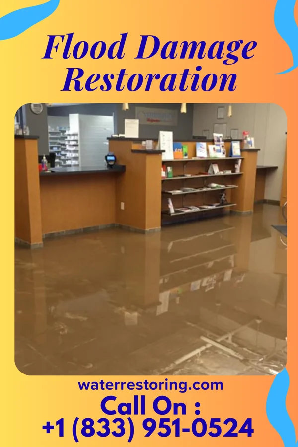 Flood Damage Restoration in La Plata, MD