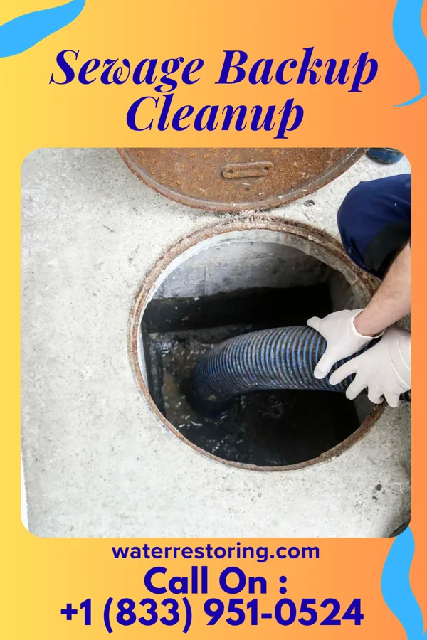 Sewage Backup Cleanup in La Plata, MD